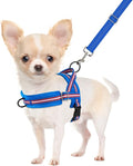 SlowTon No Pull Small Dog Harness and Leash Set, Puppy Soft Vest Harness Neck & by SlowTon