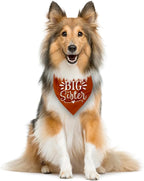 Big Sister Bandanas for Dog, Pet Pregnancy Announcement, Dark Orange Dog Bandana - Image 4
