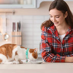 Baeuppit 2PCS Breakaway Cat Collars - Image 2