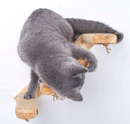 Skywin Cat Steps - Image 2