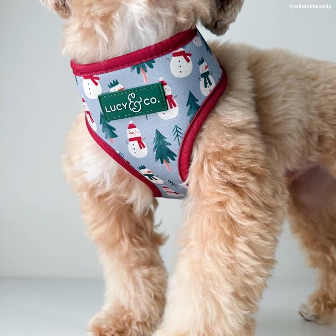 Lucy & Co. Cute Reversible Dog Harness Walking Halter - Image 3