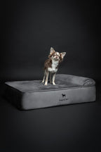 NOAH & PAW Dog Bed, Orthopedic Dog Beds - Image 7
