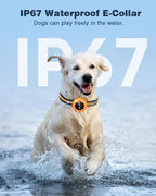 2-in-1 Dog Shock Collar & Dog Bark Collar - Image 5