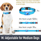 Airtag Dog Collar with AirTag Holder - Image 6