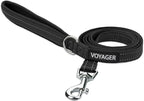 Best Pet Supplies Voyager Reflective Dog Leash or Collar by BestPetSuppliesLLC