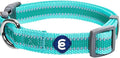 Blueberry Pet Essentials Matching Small Dog Collar | Adjustable Classic Solid by BlueberryPet