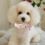 Cute Corduroy Dog Collar - Image 5