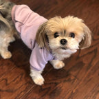 Jecikelon Winter Dog Hoodie Sweatshirts - Image 2
