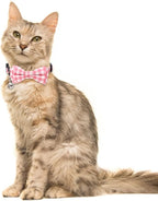 2 Pack/Set Cat Collar Breakaway - Image 5