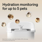 PETLIBRO Cats Water Fountain for Multi Cats, Cat Fountain - Image 7