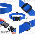 Blue Dog Collar Basic Adjustable Dog Collars - Image 3