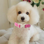 Cute Corduroy Dog Collar - Image 5