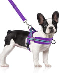 SlowTon No Pull Small Dog Harness and Leash Set, Puppy Soft Vest Harness Neck & by SlowTon