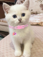 10PC Floral Cat Collar Set - Image 6