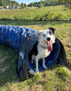 Better Sporting Dogs 10 Foot Heavy Duty PVC Tunnel - Image 3