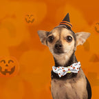 Halloween Dog Collar, Pet Collar Bow Pumpkin Pet Collar Girl Boy Bow Dog - Image 5