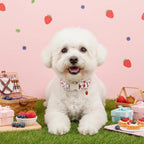 Pink Dog Collar, Girl Dog Collar - Image 6