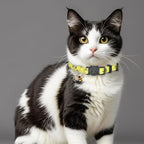 Cat Collar Breakaway, 2 Pack Cotton Cats Collars - Image 7
