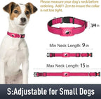 Airtag Dog Collar with AirTag Holder - Image 6