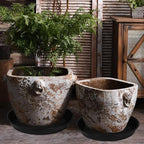 4 Pack of 20 21 inch Plant Saucer Round, Deep Plant Saucers - Image 5