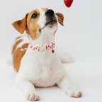 Cute Spring/Summer Dog Collar, Adjustable Pink Strawberry Dog Collars - Image 2