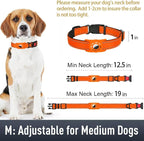Airtag Dog Collar with AirTag Holder - Image 6