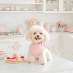 Strawberry Dog Collar for Medium Dogs - Image 5