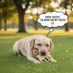 Natural Jute Dog Chew Toy – Lion Shape, Tough & Durable Puppy Teething Toy - Image 3