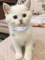 10PC Floral Cat Collar Set - Image 2