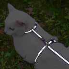 KOOLTAIL Cat Harness and Leash Set, Escape Proof Adjustable Kitten Harness - Image 6