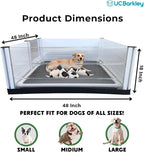 Whelping Box for Dogs and Puppies - Image 2