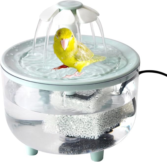 Automatic Bath for Birds, Parrot Bathtub by MUYG