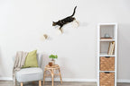 Trixie Wall Mount XXL Cat Climbing Steps, Cat Furniture, Scratching Post by TRIXIE