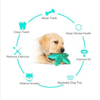 Chew Toy for Dog Toothbrush Stick Dog Toys for Aggressive Chewers Interactive - Image 6
