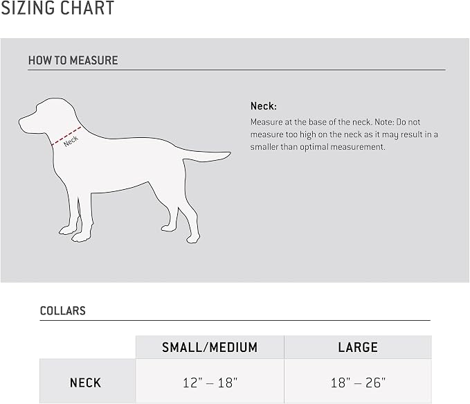 Carhartt Dog Collar, Fully Adjustable Webbing Collars - Image 5