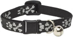 LupinePet Originals 1/2" Bling Bonz Cat Safety Collar by LupinePet