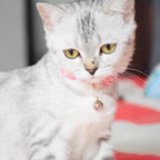Breakaway Cat Collars with Bell, Durable & Safe Cute Kitten Collars Safety - Image 6