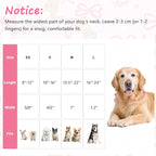 Easter Dog Collar, Spring Pink Dog Collar - Image 2