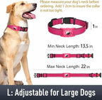 Airtag Dog Collar with AirTag Holder - Image 6