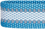 Blueberry Pet Essentials Matching Large Dog Collar | Adjustable Classic Solid - Image 7