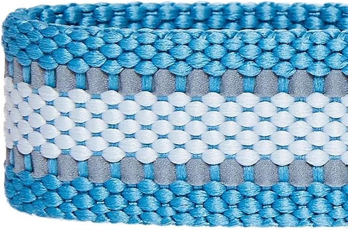 Blueberry Pet Essentials Matching Small Dog Collar | Adjustable Classic Solid - Image 7