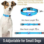 Airtag Dog Collar with AirTag Holder - Image 6