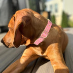 Woven Dog Collar with Metal Buckle Adjustable Jacquard Retro Dog Collars - Image 5