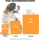 Dog Blankets for Large Dogs, Soft Fluffy Flannel Pet Blanket Mat Cover for Bed - Image 3