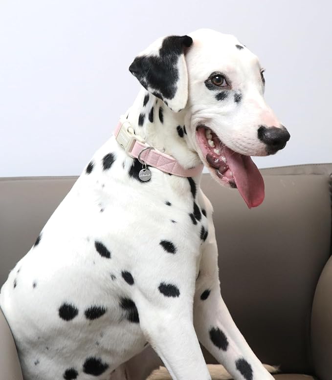 DOGWONG Cotton Hemp Dog Collar, Heavy-Duty Pink Dog Collar Adjustable Soft - Image 5