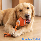 Interactive Dog Toys ，2026 upgraded motion-sensing pet toy ball, interactive - Image 7