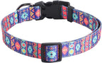 QQPETS Adjustable Soft Dog Collar: Print Flower Pink Multicolor Cute Patterns - Image 6
