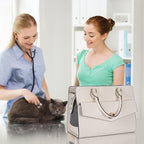 Stylish Pet Carrier Purse Leather Bag - Image 6