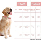 Genuine Leather Dog Collar - Image 4