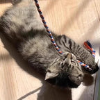 IUHKBH Cat Wands, Safe Kitty Toys - Image 6